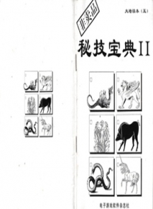 电子游戏软件 - 大墙读本5秘技宝典II